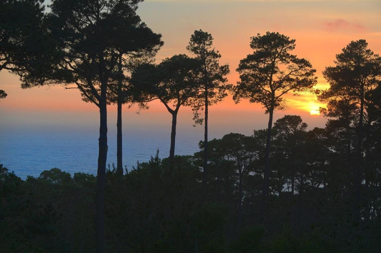 3707 Pacific'S Edge Sanctuary Home Carmel-by-the-Sea Extérieur photo