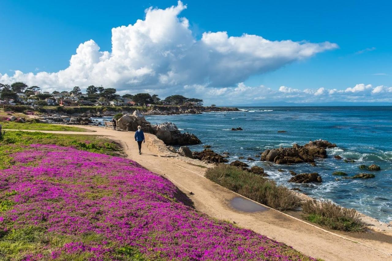 3707 Pacific'S Edge Sanctuary Home Carmel-by-the-Sea Extérieur photo