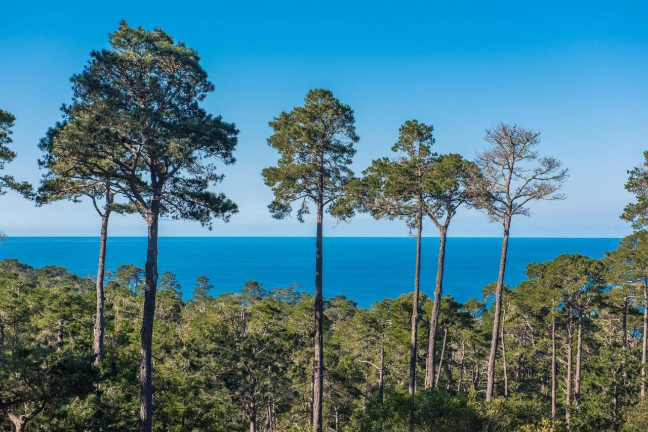 3707 Pacific'S Edge Sanctuary Home Carmel-by-the-Sea Extérieur photo